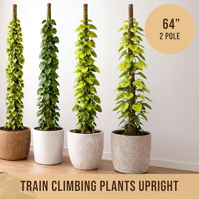 Craft911 Moss Pole Monstera Plant Support – 64” Bendable Moss Pole Monstera Plant Support, Plant Stakes for Indoor Plants, Tall Plant Sticks Support for Climbing Plants