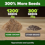 HOME GROWN Dandelion Seeds for Planting – 1200 Heirloom Medicinal Herb Seeds Grow Edible Leaves and Flowers for Remedies or Wildlife (Taraxacum officinale)