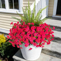 Hrobek Artificial Flowers for Outdoors Faux Plants Outside Indoor,UV Resistant Silk Fake Petunia Ferns for Home Patio Garden Back Yard Front Porch Decor(13 Bunches,Hot Pink)