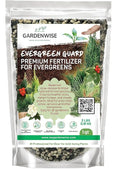 GARDENWISE Evergreen Fertilizer – All-Purpose Granular Plant Food for Outdoor Trees and Shrubs, Azaleas, Magnolias, Pines & Arborvitae – Slow-Release Formula (5 quarts)