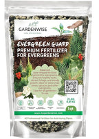 GARDENWISE Evergreen Fertilizer – All-Purpose Granular Plant Food for Outdoor Trees and Shrubs, Azaleas, Magnolias, Pines & Arborvitae – Slow-Release Formula (5 quarts)