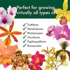 Better-Gro Special Orchid Mix - Premium Grade Orchid Bark Potting Mix for Potting,Repotting,Enhanced Drainage,Air Flow & Root Ventilation,for Phalaenopsis,Cattleyas,Dendrobiums,8 Quarts,(Pack of 2)