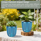 QCQHDU 2-Pack Self Watering Pots, 7.2 Inch Plant Pots with Drainage Holes and Water Filling Port, Garden Planter for Indoor Plants (Klein Blue)