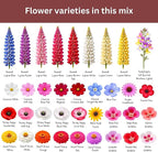 Butterfly and Hummingbird Wildflower Mix – 30,000+ Seeds – 1 oz Bulk Extra Large Resealable Packet – Non-GMO Open Pollinated Wildflower Seeds