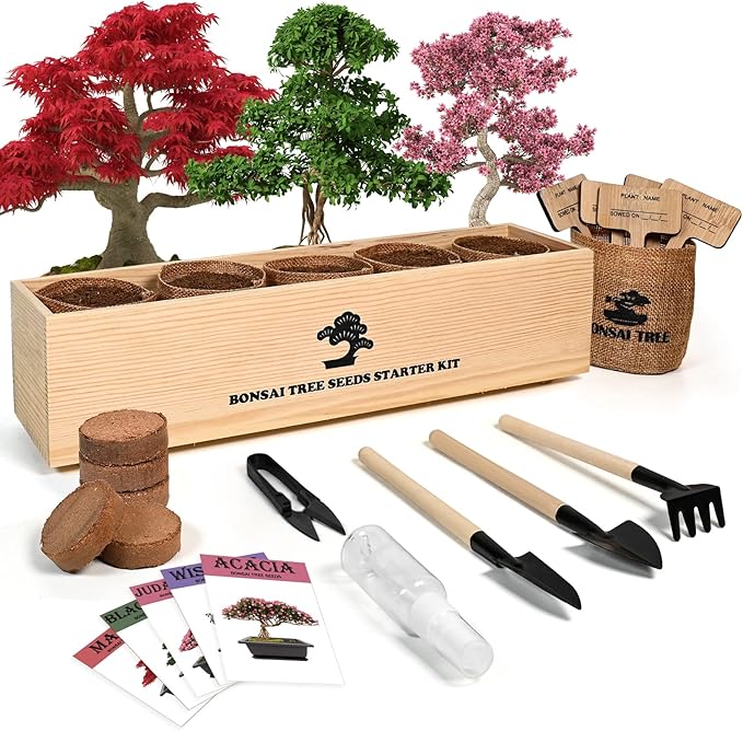 Bonsai Tree Kit with Complete Growing Starter Kit, Great Potted Growing DIY Gift for Adults