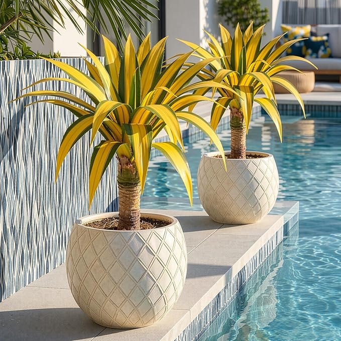 Artificial Green Edged Gold Leaf Spiny Agave Plant with 23 Leaves, 31.49in Faux Agave for Indoor & Outdoor Home Decor Perfect for Porch Living Room Bedroom Patio & Office（2 Pack）