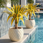 Artificial Green Edged Gold Leaf Spiny Agave Plant with 23 Leaves, 31.49in Faux Agave for Indoor & Outdoor Home Decor Perfect for Porch Living Room Bedroom Patio & Office（2 Pack）