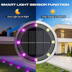 Peasur Solar Ground Lights Outdoor, 8 Pack Flat Solar Powered Disc Lights, IP68 Waterproof, Anti-Rust, Landscape Lighting for Pathway Garden Yard Lawn Walkway Landscape Driveway, Purple
