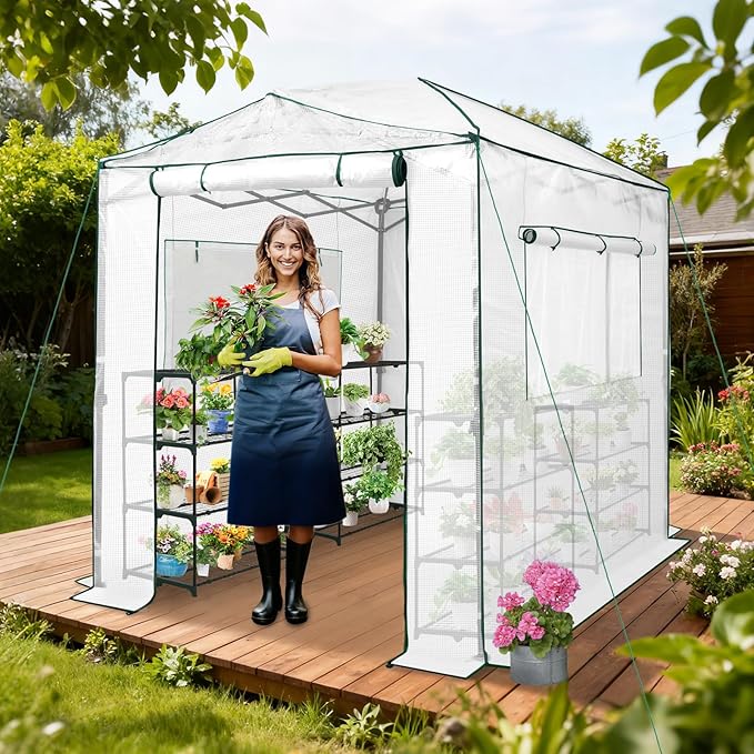 EAGLE PEAK 8x6 Portable Walk in Greenhouse, Pop Up Indoor Outdoor Greenhouse, Green House Kit with Zippered Roll-Up Doors and Windows, PE Cover, Clear/White