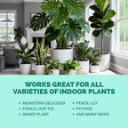 Indoor Plant Food – Liquid Fertilizer for Houseplants, New Growth, Greener Leaves, and Strong Roots, 32oz