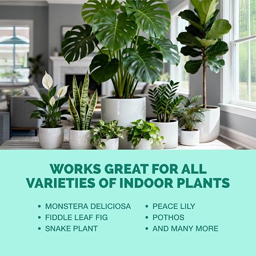 Indoor Plant Food – Liquid Fertilizer for Houseplants, New Growth, Greener Leaves, and Strong Roots, 32oz