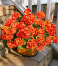 Fake Geraniums Artificial Flowers for Outdoors Fall Autumn Decoration, 6 Bundles Silk Geraniums UV Resistant Look Real Orange Faux Flowers Plants for Front Door Garden Planter Patio Balcony Yard Home