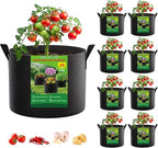 FEED GARDEN 10 Gallon Grow Bags 8 Pack – 300G Thickened Fabric Plant Pots with Reinforced Handles, Breathable Drainage Planters for Vegetables, Tomatoes, Herbs, Indoor & Outdoor Gardening