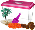 Needzo All in One Starter Kit Hermit Crab Habitat Supplies, DIY Terrarium Pack with1 Gallon Plastic Cage, Gravel, Scooper, Sponges, and Palm Tree Feeder for Crabs and Reptiles, 5 Pieces