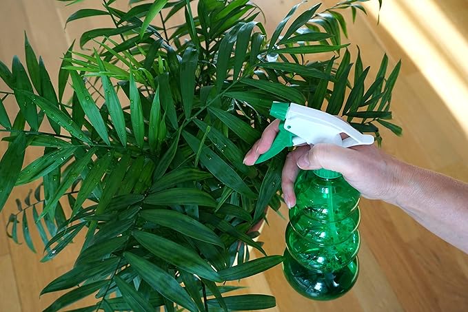 American Plant Exchange Parlor Palm – 4-Inch Pot with Cover – Live Easy Care Low-Light Indoor Houseplant, Pet-Friendly Tropical Palm for Home, Office, Bedroom & Shelf Décor