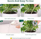 Soilagua Large Extra-Thick Clear Glass Plant Watering Globes, Rainbow Gradient Self Watering Devices for Indoor & Outdoor Plants, AutomaticWaterer Spikes, Perfect for Daily or Vacation Use, 2-Pack