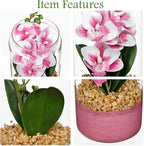 Pink Orchids Artificial Flowers with Vase, Small Faux Orchid Arrangement Fake Orchids Plant in Terrarium Jar Small Pink Orchid Centerpieces for Kitchen Dining Room Tables Bathroom Nightstand Decor