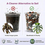 Molly's Orchid Potting Mix - Premium Gritty Soilless Orchid Mix - Chunky High Drainage vs Standard Potting Soil for Indoor Plants - Contains Bark, Coco Chips, Akadama, Pumice, Lava Rock 5 Dry Quarts