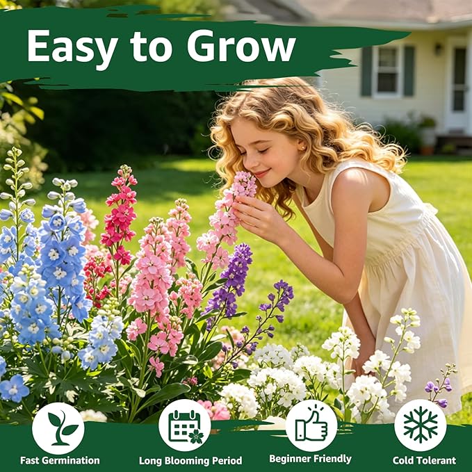 5600+ Forget Me Not Seeds for Planting, Easy to Grow Blue Forget-Me-Not Flowers, Perennial Wildflower Seeds for Ground Cover, Borders & Pollinator Gardens