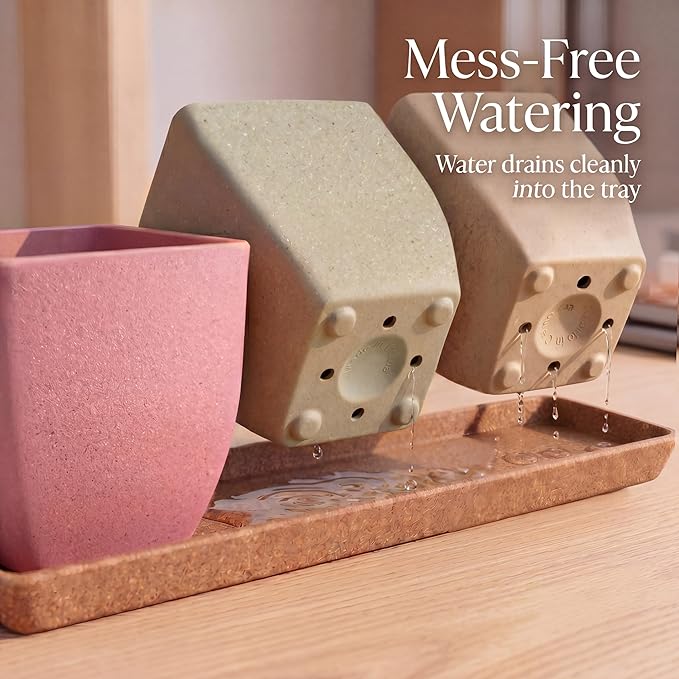 Small pots for Plants, Indoor Square Planter Set, 3.5 inch Modern Succulent Mini Succulent Pots for Windowsill, Shelf & Desk Decor.Pink/Yellow/Green