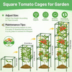 Legigo 6 Pack Square Tomato Cages- 60 Inch Heavy Duty Tomato Trellis for Climbing Plants Outdoor, Tomato Plant Support Stakes Cage Garden Trellis for Garden Raised Garden Bed Cucumbers Vegetables
