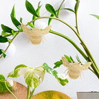 Rainteam Plant Animal Decor Brass Plant Charms for Live Plants Cute Animal Plant Hanger Ornaments for Pots Garden Plant Decorations Plant Accessories Gift for Plant Lovers(2 Bee)