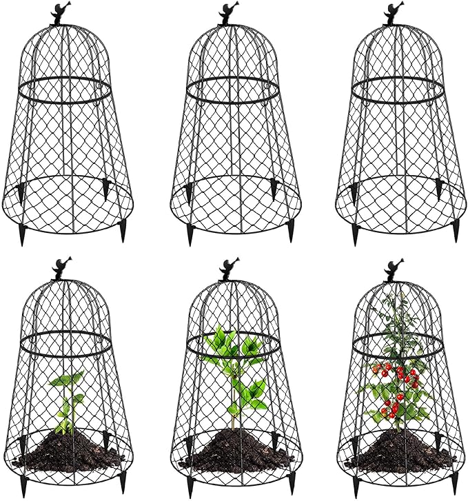 6 Pack Plant Protectors from Animals, Garden Cloches for Plants, Rustproof Chicken Wire Cloche Plant Cages to Keep Animals Out, Sturdy Metal Garden Cages for Outdoor Plants 13" D x 20" H