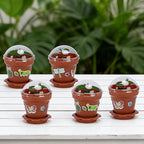 25 Packs Cupcake Plant Nursery Pots with Humidity Dome, Small Plastic Flower Plant Pots with 20 Sheet Stickers, Seeds Starter Pot Flower Planting Container for Seedlings Succulent Display (Wine Red)