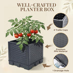 2 Pack Tomato Planter with Trellis 43 Inch, Self Watering Planter Box with Trellis, Vertical Raised Garden Bed Planter for Climbing Vegetables Indoor Outdoor Patio