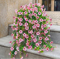 4 Pcs Fake Outdoor Artificial Flowers For Outdoors Uv Resistant, Plastic Flowers For Outdoors, Fake Hanging Plants Faux Flowers For Outdoor Planters, Silk Spring Flowers For Outside Porch（Pink）