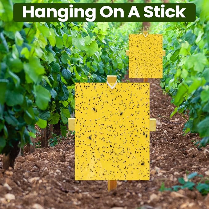 Qualirey 250 Pcs 6x8 Inch Yellow Sticky Traps for Gnats, Dual-Sided Sticky Gnat Traps for Indoor Outdoor Plants, Pest Control for Fungus Gnats, Fruit Flies, Whiteflies – Bulk Pack with Twist Ties