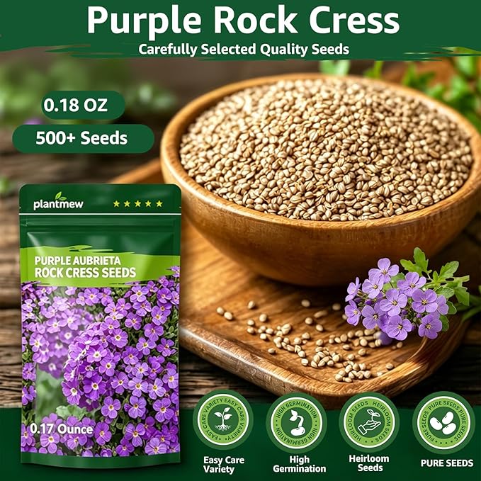 800+ Purple Aubrieta Rock Cress Seeds for Planting, Perennial Ground Cover Flower Seeds for Rock Gardens, Borders & Slopes, Attracts Butterflies & Pollinators