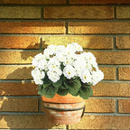 CITYES 3 Pcs Artificial Geraniums Flowers Silk Geraniums for Outdoors UV Resistant White Artificial Geranium Bush Faux Flowers Plant for Planter Garden Home Decor Indoor Patio Vase Table Centerpiece