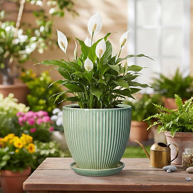 Ceramic Plant Pots, 6 Inch Ceramic Pots for Herb Snake Plants, Indoor Small Flower Pot with Drainage Hole and Saucer, Modern Round Planter, Room Office House Decor, Gardening Gifts, Green