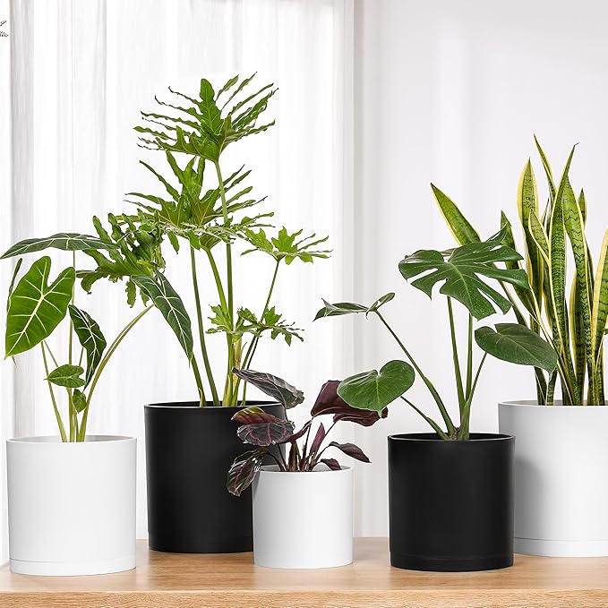 FaithLand 10-Inch Modern Cylinder Planter, Thick-Walled Plastic Plant Pot with Drainage Holes and Detachable Saucer, Matte White, Ideal for Indoor & Outdoor Plants Flowers