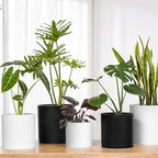 FaithLand 8-Inch Modern Cylinder Planter, Thick-Walled Plastic Plant Pot with Drainage Holes and Detachable Saucer, Matte Black, Ideal for Indoor & Outdoor Plants Flowers