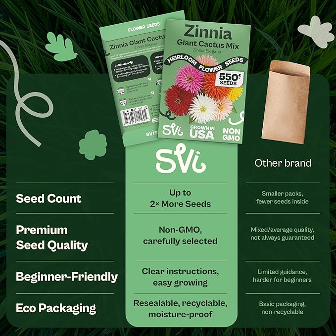 SVI 550 Mix Cactus Zinnia Seeds for 2026 (Zinnia elegans) – Giant Zinnias Super Seed Mix, Giant Flowers Seed Packets Bulk – Cut Flower Seeds to Plant Outside & Indoor Garden Flowers Bed, Containers