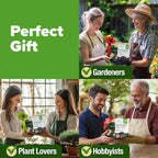 HOME GROWN Bonsai Tree Kit – 6 Heirloom Varieties with Unique Pots – DIY Bonsai Starter Kit for Adults & Beginners – Christmas Gift for Men Women Gardeners Plant Lovers – Indoor Growing Kit