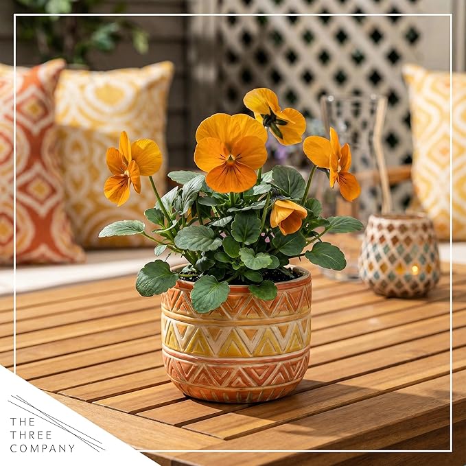 Live Healthy Flowering Pansies - Orange (4 Plants Per Pack), Beautiful Winter Color, 6" Tall by 4" Wide in 1 Pint Square Pot