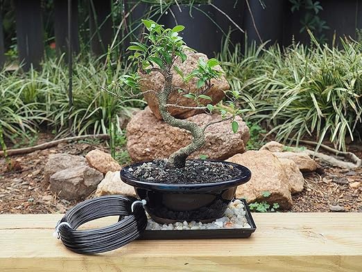Black-5.0-Anodized Aluminum Bonsai Training Wire 250g Large Roll,Many Size to Choose,KSVZS Bendable Metal Wire for Crafts,Sculpting,Armature and Daily Use,Necessities for Family