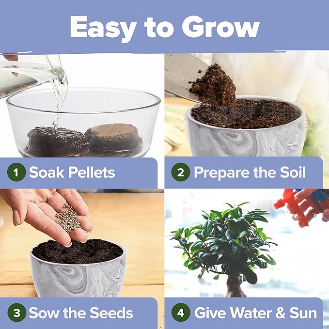 HOME GROWN Bonsai Tree Kit – Premium Ceramic Starter Set with 4 Bonsai Varieties – Easy Indoor Gardening Gift for Men & Women – Unique Plant Kit for Beginners & Nature Lovers