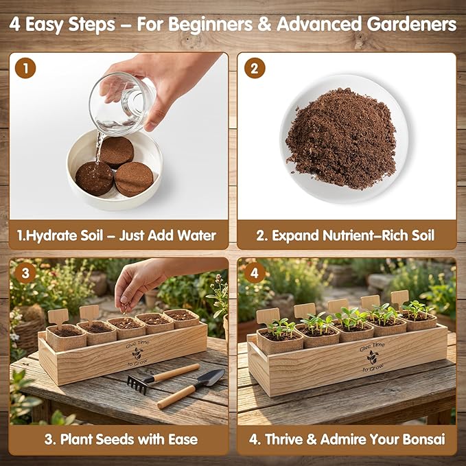 Bonsai Tree Starter Kit for Beginners 5 Unique Indoor Bonsai Trees with Gardening Tools DIY Bonsai Growing Kit Perfect Gifts for Women Men Plant Lovers for Birthday Easter Housewarming