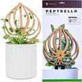 Treleaf Peptrella Watermelon Peperomia Inspired Wooden Trellis – Petite Size 9" Indoor Plant Support for Hoyas and Climbing Plants – Decorative Houseplant Trellis and Wooden Plant Stake