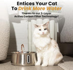 KittySpout Stainless Steel Cat Water Fountain Automatic Drinking Fountain, Quiet Circulating Water Bowl, Dishwasher Safe, Indoor Pet Fountain for Hydrated Healthy Cats (Stainless Steel, 4L Corded)