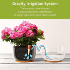 Blumat Classic Self-Watering Stakes - Prevents Overwatering and Underwatering for Healthy Growth While You are Away - Ideal for Indoor Plant Watering, 12 Pack, wo Adapter