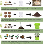 Meekear 10 Herb Seeds Garden Starter Grow Kit with Green Pots, Markers, Soil Discs, Watering, Herb Clipper, Complete Indoor Potted Plant Growing Set for Kitchen DIY