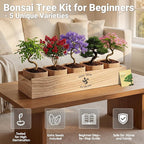 Bonsai Tree Starter Kit for Beginners 5 Unique Indoor Bonsai Trees with Gardening Tools DIY Bonsai Growing Kit Perfect Gifts for Women Men Plant Lovers for Birthday Easter Housewarming