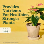 Miracle-Gro Indoor Plant Food for All Plants, Liquid Plant Food for Houseplants, Flowers, Vegetables, Herbs, and More, 8 fl. oz., 2-Pack