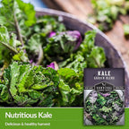 Baby Kale Seeds – Garden Blend Mix of Curly & Flat Leaf Kale – Heirloom Variety Pack for Cut-and-Come-Again Greens – Fall or Spring Planting – Survival Garden Seeds (5 Packs)