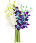KaBloom PRIME NEXT DAY DELIVERY - Fall Collection - Starry Night in the Tropics Bouquet of Blue and White Orchids.Gift for Birthday, Anniversary, Thank You, Valentine, Mother’s Day Fresh Flowers